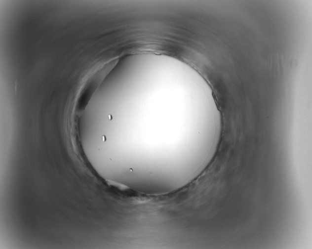 X0000088400289200706051141