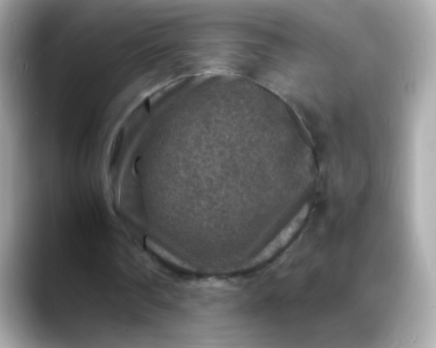 X0000088400290200706051141