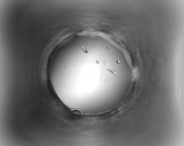 X0000088400291200706051141