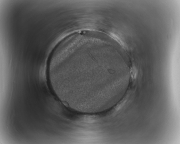 X0000088400292200706051141