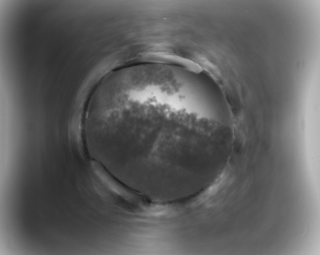 X0000088400293200706051141