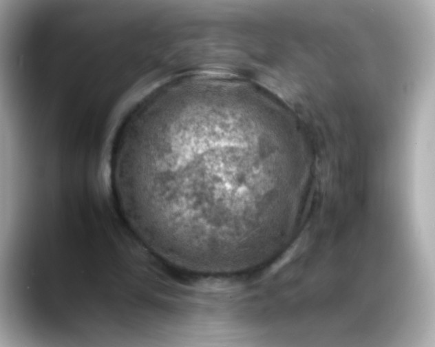 X0000088400294200706051141