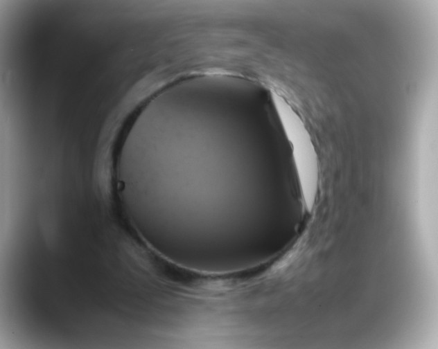 X0000088400295200706051141