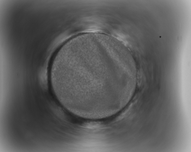 X0000088400296200706051141