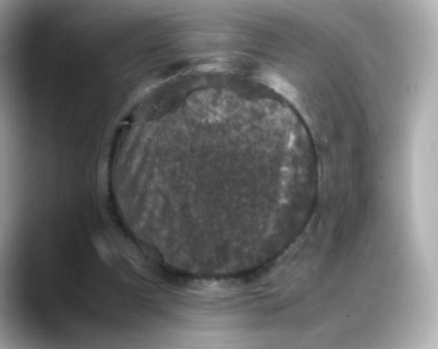 X0000088400297200706051140