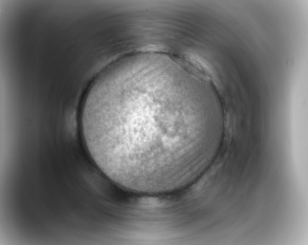 X0000088400298200706051140