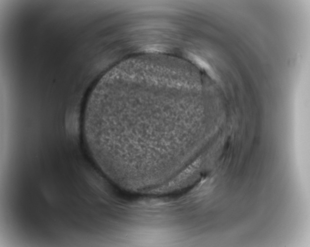 X0000088400299200706051140