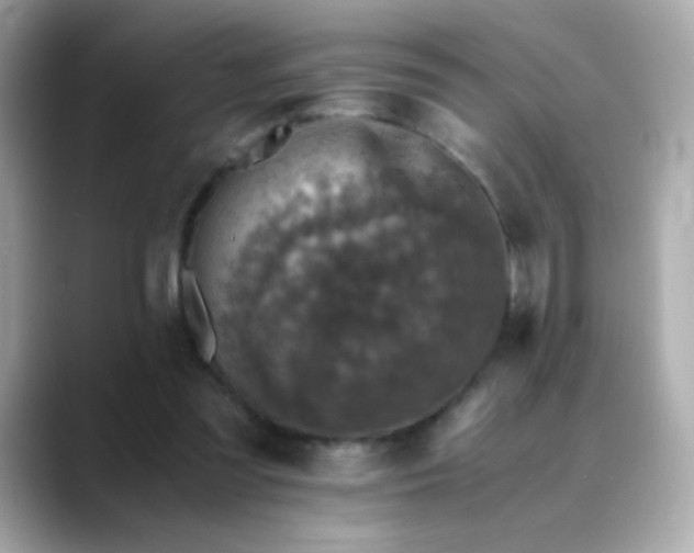 X0000088400301200706051140