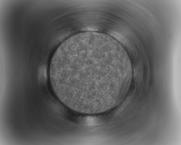 X0000088400302200706051140