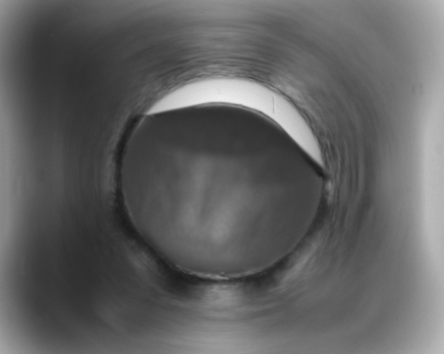 X0000088400303200706051140