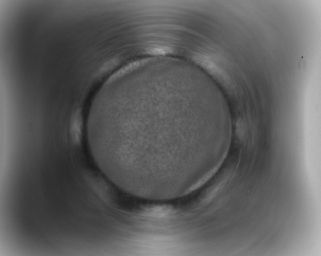 X0000088400304200706051140