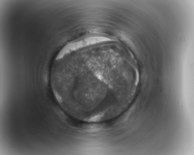 X0000088400305200706051140