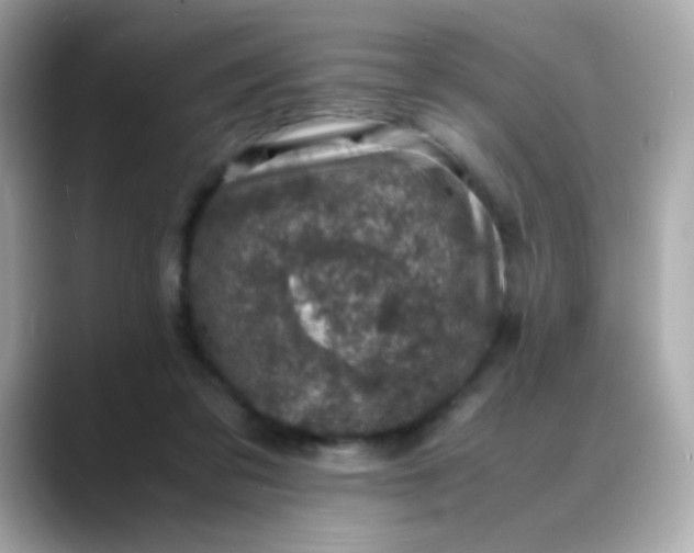 X0000088400309200706051140