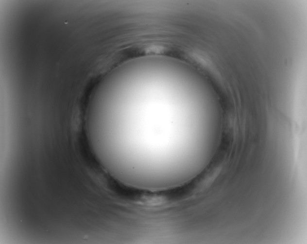 X0000088400311200706051140