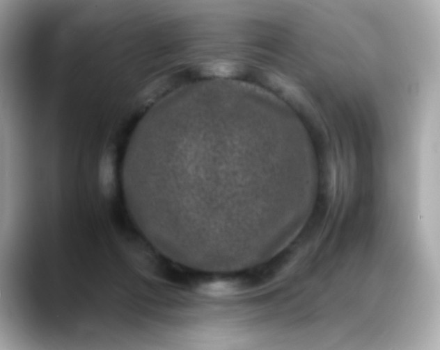 X0000088400312200706051140