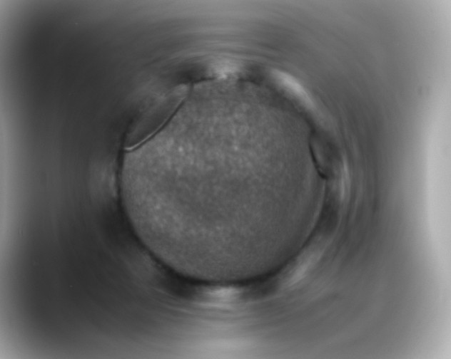 X0000088400313200706051140