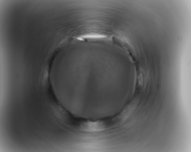 X0000088400314200706051140