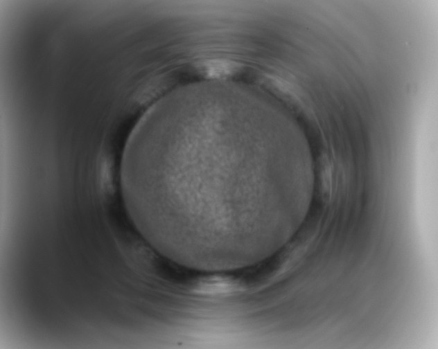 X0000088400316200706051140