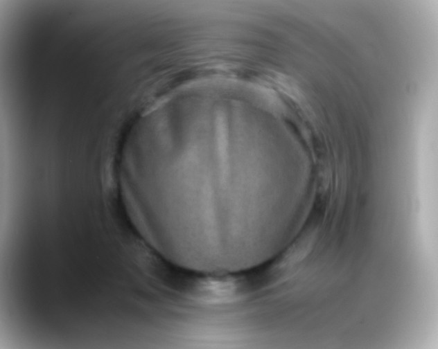 X0000088400317200706051140