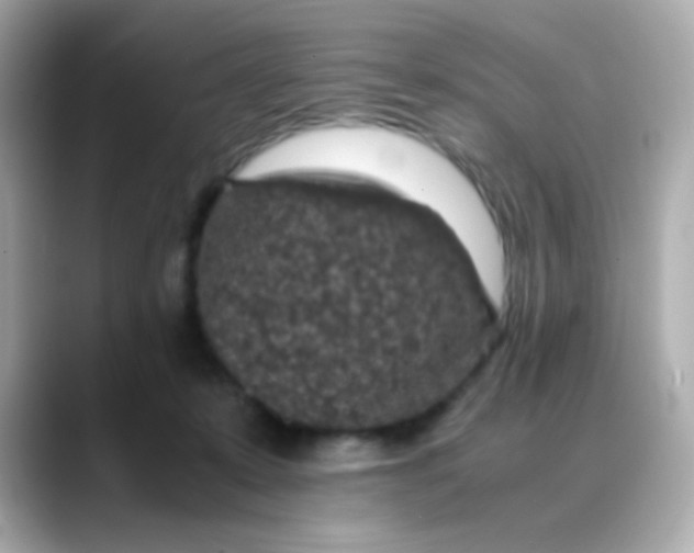 X0000088400319200706051140