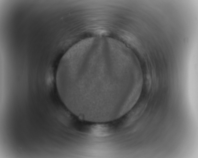 X0000088400320200706051140