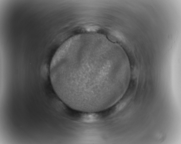 X0000088400321200706051140