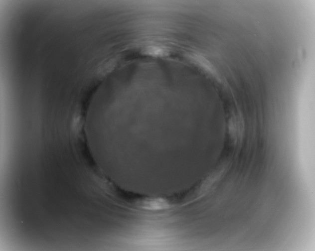 X0000088400322200706051140