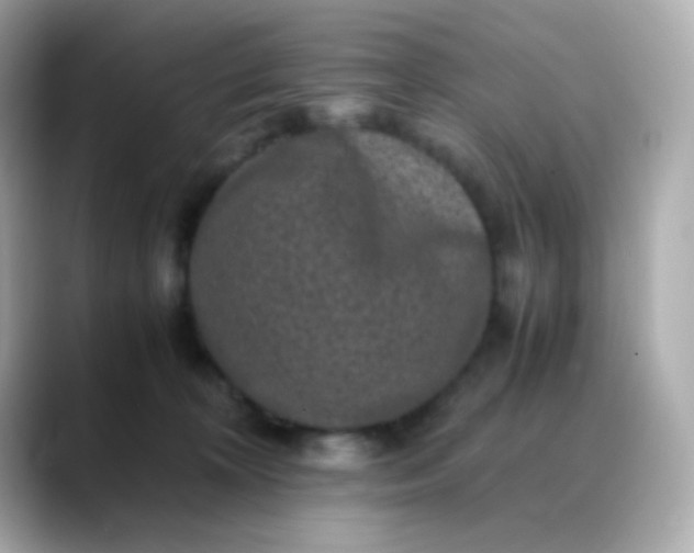 X0000088400324200706051140