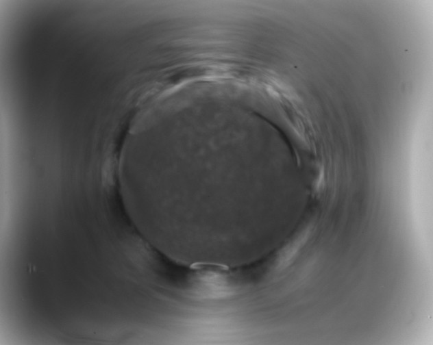 X0000088400325200706051140