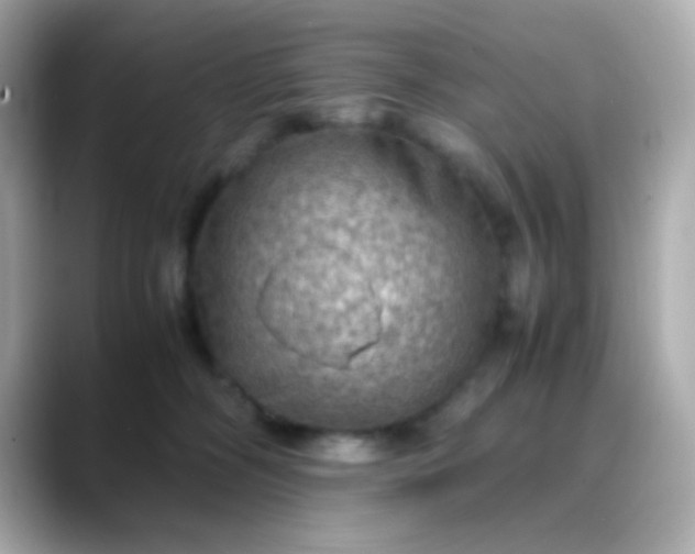 X0000088400326200706051140