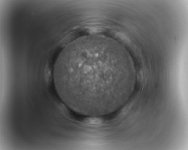 X0000088400327200706051140