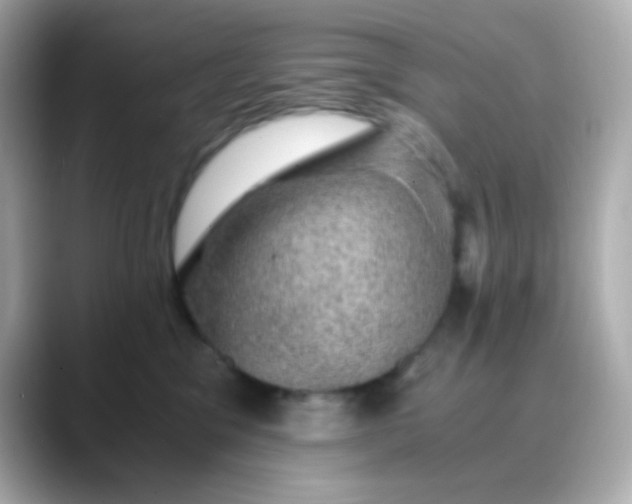 X0000088400329200706051140