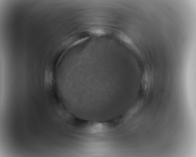 X0000088400330200706051140