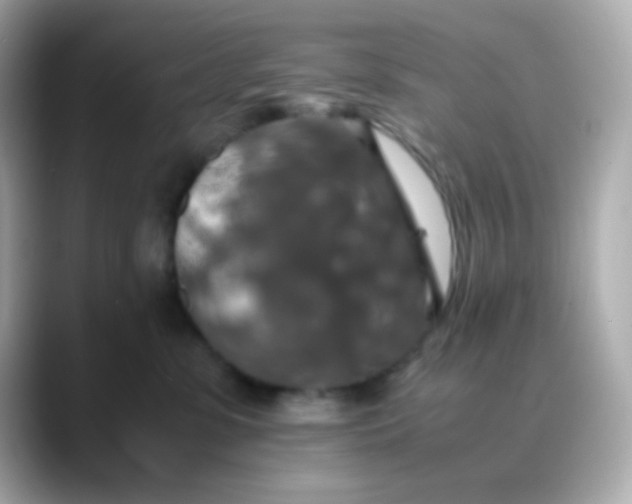 X0000088400331200706051140