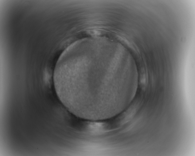 X0000088400332200706051140