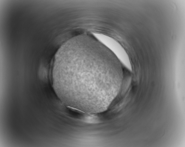 X0000088400333200706051140