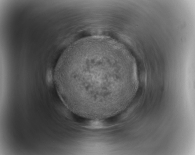 X0000088400335200706051140