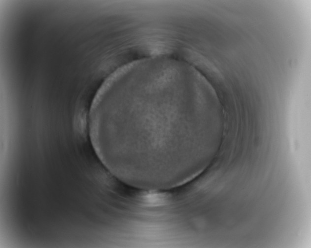 X0000088400336200706051140