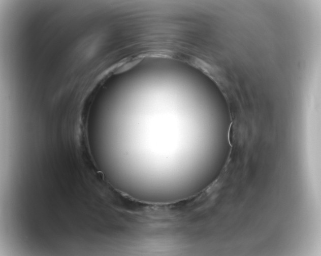 X0000088400338200706051139