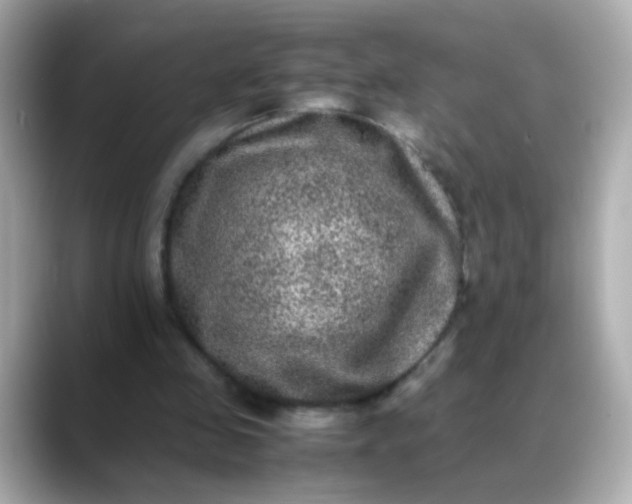 X0000088400341200706051140