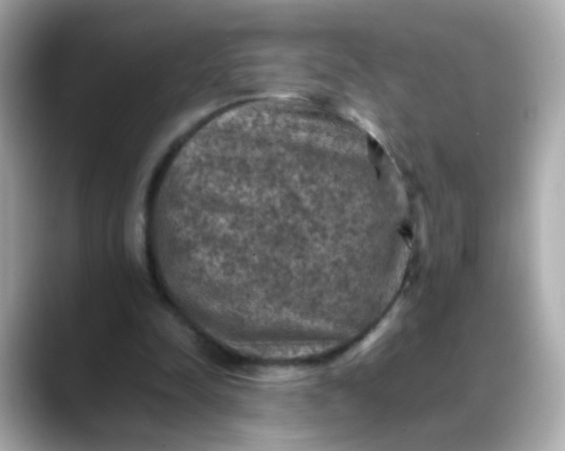 X0000088400342200706051140