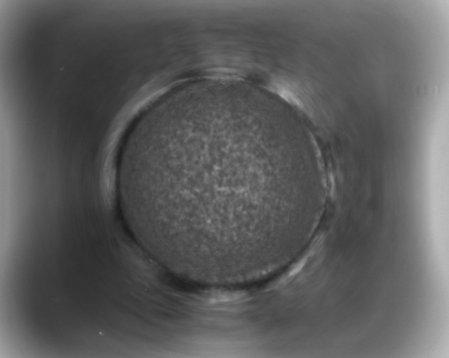 X0000088400343200706051140