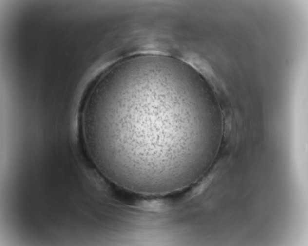 X0000088400344200706051140