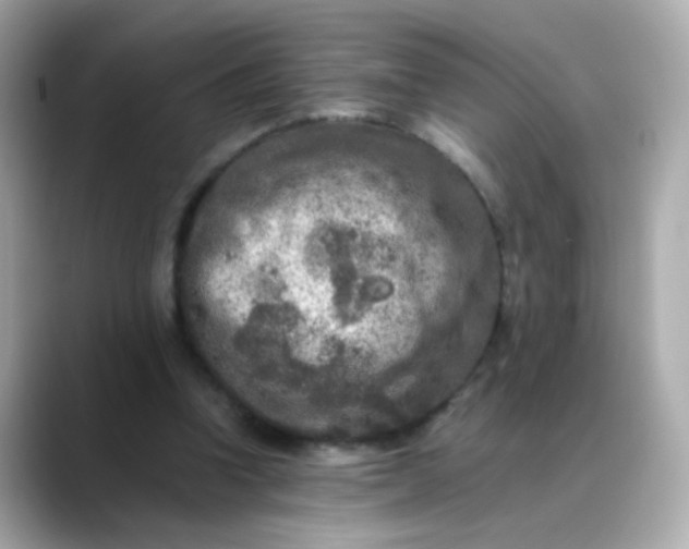 X0000088400346200706051140