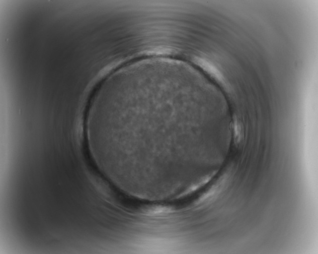 X0000088400348200706051140