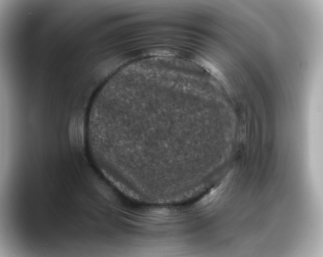 X0000088400349200706051140