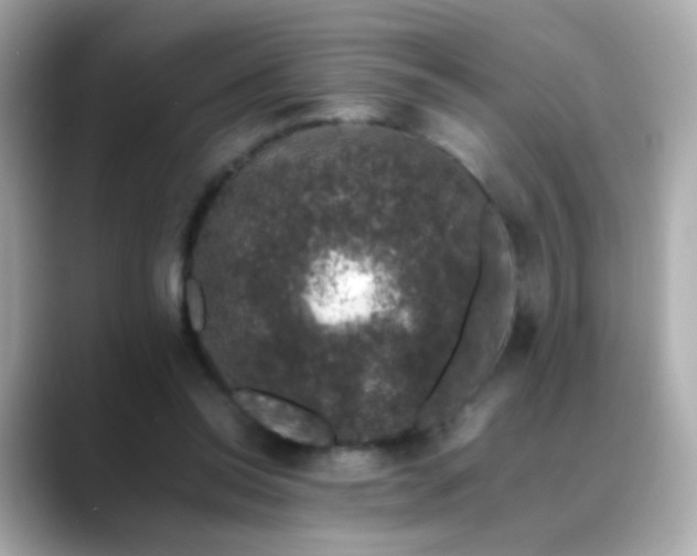 X0000088400350200706051140