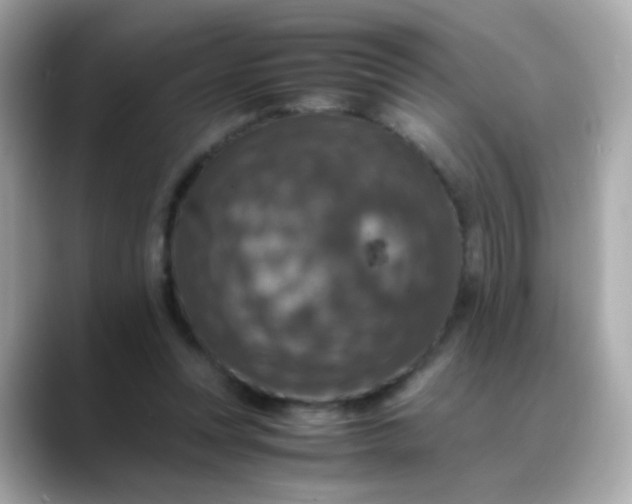 X0000088400351200706051140