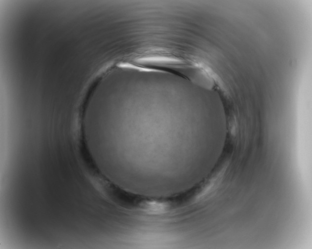 X0000088400352200706051140