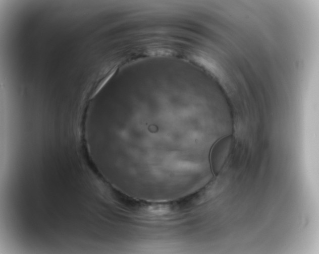 X0000088400353200706051140